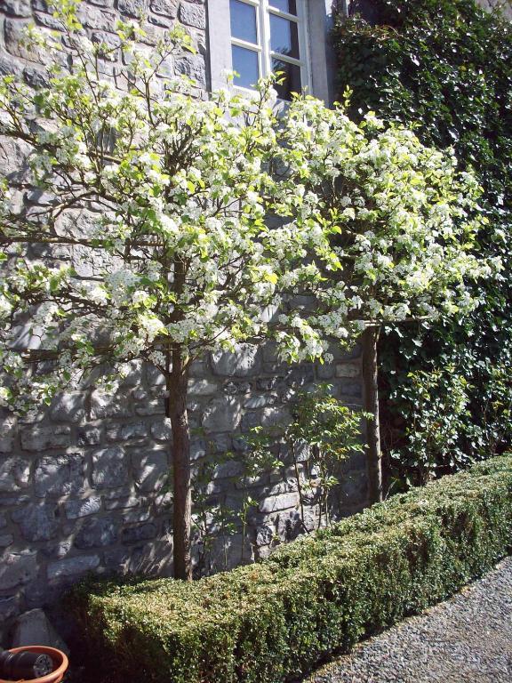 Bed & Breakfast La Buissonniere